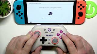 Comment vérifier la dérive des sticks sur GameSir Nova HD Rumble (Nintendo Switch)