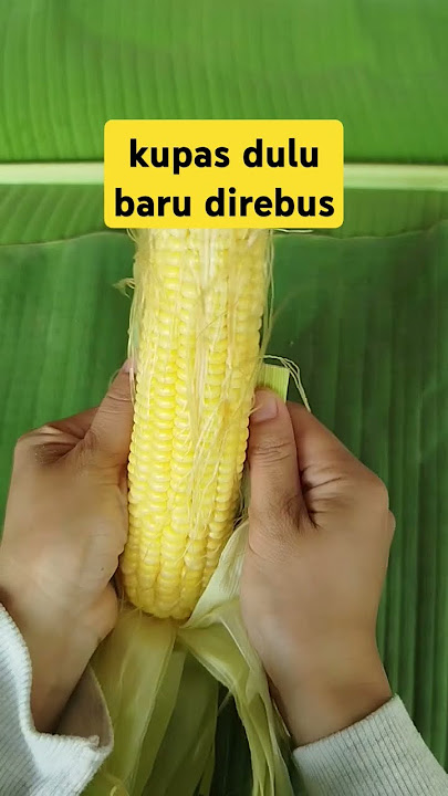 Siapa yang Suka Sarapan Jagung Rebus?