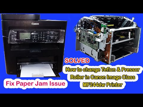  244               244          