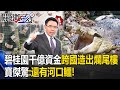 碧桂園千億資金跨國「造出爛尾樓」？！寶傑驚「入住率沒10%變鬼城」：還有河口鱷！【關鍵時刻】