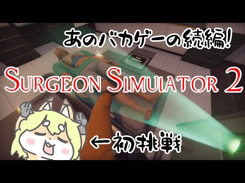 【ボブ】とぅるちゃんの積みゲー崩し企画【手術ゲー2】