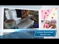 Automatic Lollipop Depositing Line | High-Efficiency Candy Production Machine
