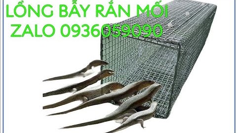 Bẫy rắn mối. Bán lồng bẫy rắn mối. Bán bây rắn mối. Bán bẫy dông cát. Bán bẫy kỳ nhông.