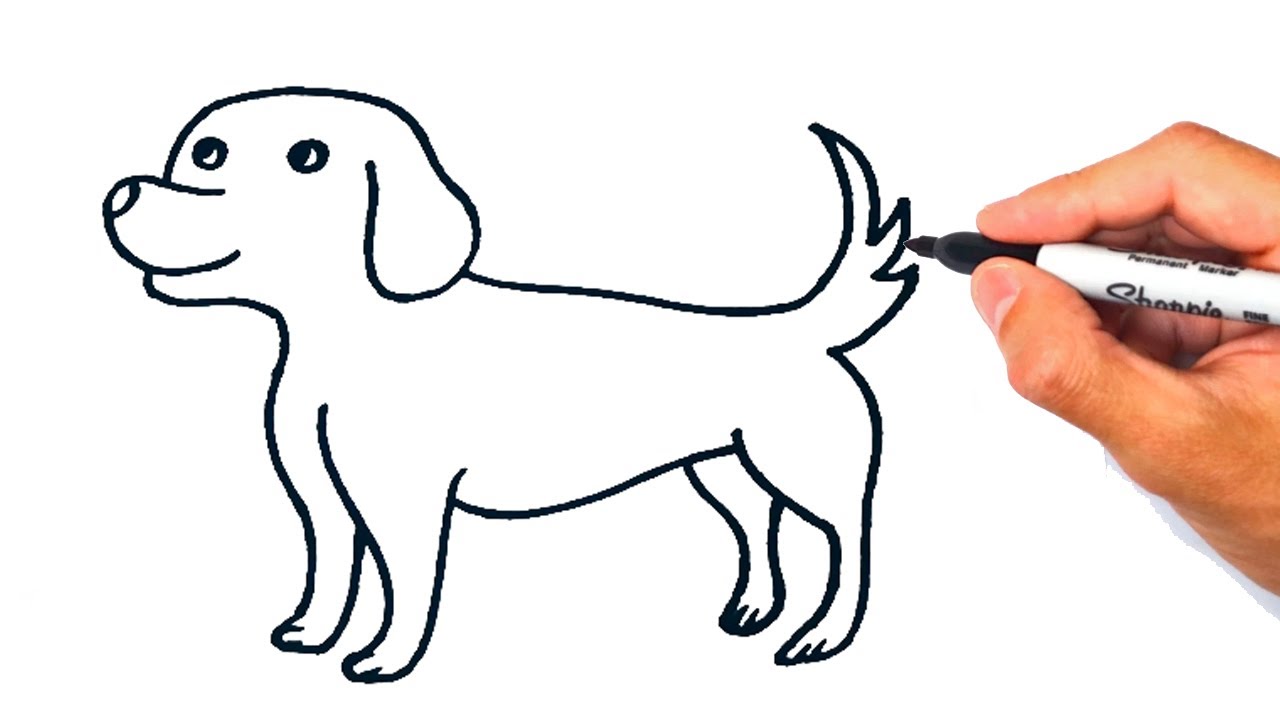 Cómo dibujar un Perro Muy Fácil | Dibujo de Perro - thptnganamst.edu.vn