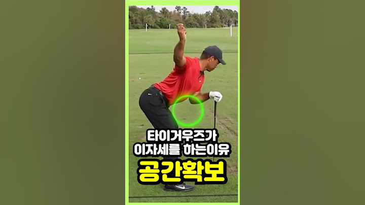 타이거우즈가 이자세를 하는이유 '공간확보'