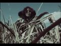 SHERBETS  わらのバッグ PV