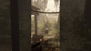 Dynamite kills are so satisfying in red dead redemption 2 #rdr2
