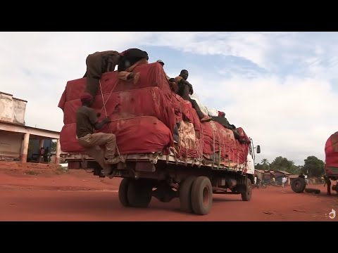 Видео: Конго: в ловушке грязи | Самые смертоносные путешествия