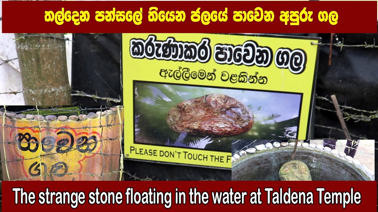 ජලයේ පාවෙන ගල බලන්න තල්දෙන පන්සලට මහ සෙනගක්