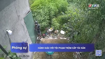 Cảnh giác với tội phạm trộm cắp tài sản | PHÓNG SỰ | TayNinhTVDVC