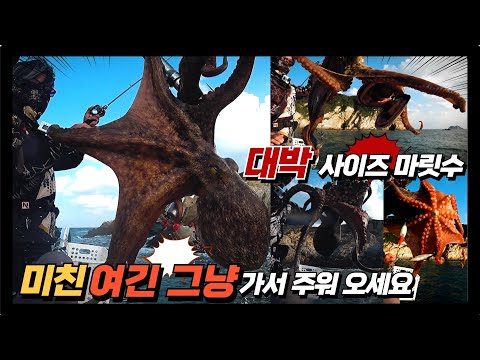 풍낚TV 문어낚시/대박 미친 이곳문어/크라켄을 그냥 주워가는 가까운곳/처음 가본 포인트/영복1호/Octopus fishing