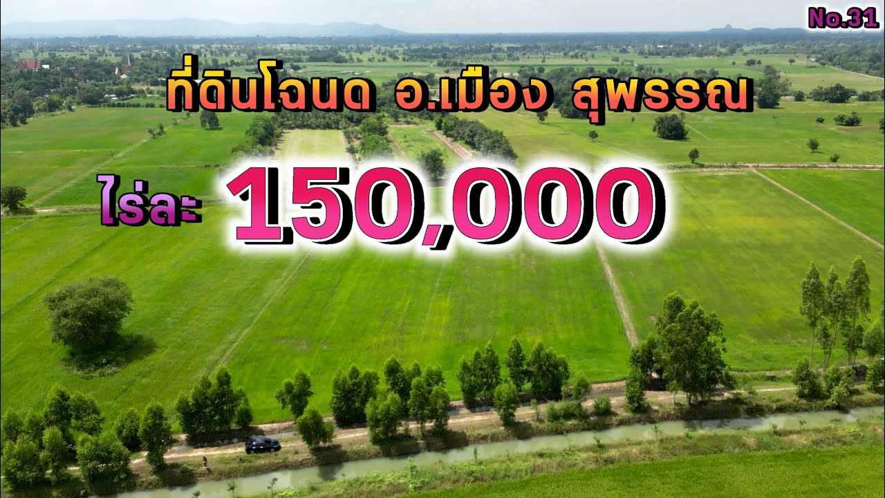 ที่ดินมั่นคง | No.31 ขายด่วน ที่นา ไร่ละ150,000 อ.เมือง จ.สุพรรณ