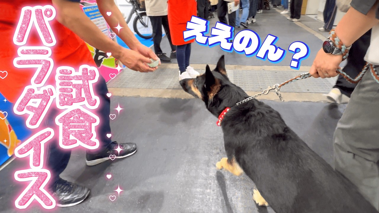 We Went to One of Western Japan's Biggest Pet Events, and It Was a
