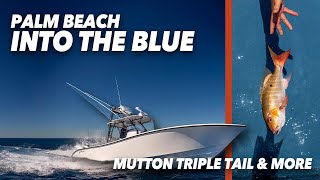 Palm Beach, FL Yellowfin Tuna, Muttons - with Capt. Dave Fields | Into the Blue