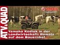 Yamaha Kodiak in der Landwirtschaft: Einsatz auf dem Bauernhof