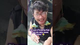 Diz que é Paraense Raiz mais não sabe desse SINAL🤣