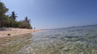 Selingan Turtle island