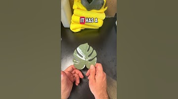 AD5Xvs H2S MultiColor 3D Print Showdown#3dprint #3dprinted #3dprinting #bambulab #flashforge