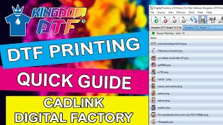 How to use Cadlink Digital Factory for DTF Printing  Cadlink DTF Tutorial (Quick Guide)