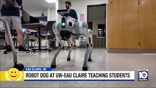 Robot dogs helping college students learn engineering