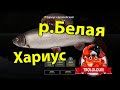 Русская рыбалка 4  Хариус европейский  Река белая фарм  Russian fishing 4