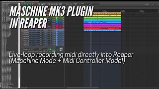 Live-loop MIDI recording from Maschine to Reaper (Midi Control Mode & Maschine Mode!) 2021 MK3 v2.12 Live-loop MIDI recording from Maschine to Reaper (Midi Control Mode & Maschine Mode!) 2021 MK3 v2.12