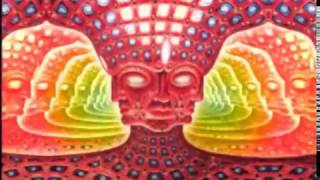 TOOL at DTE Energy Music Theatre June 7 screenshot 2