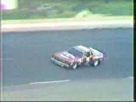 1980 Southern 500 Finish