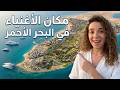                                                                                       نجومي