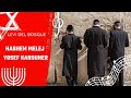 Hashem Melej subtitulos Español - Hebreo Yosef Karduner transliterado