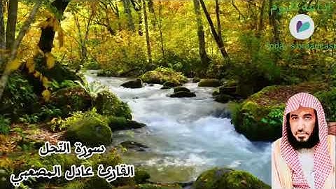 سورة النّحل القارئ عادل حسين المصعبي
