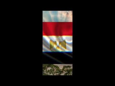 اغنية قولها يا مصرى