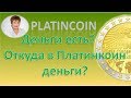 PlatinCoin. Деньги есть? Откуда в Платинкоин деньги?