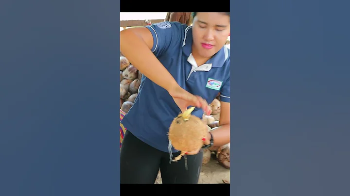 Thailand, Koh Samui coconut farm tour - Splitting one open