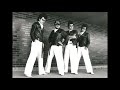 T.C.R.横浜銀蝿R.S. / お前サラサラサーファー・ガール おいらてかてかロックン・ローラー(1982)