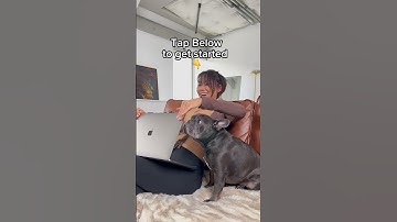 Beat Monday blues, build a WordPress website with Bluehost!