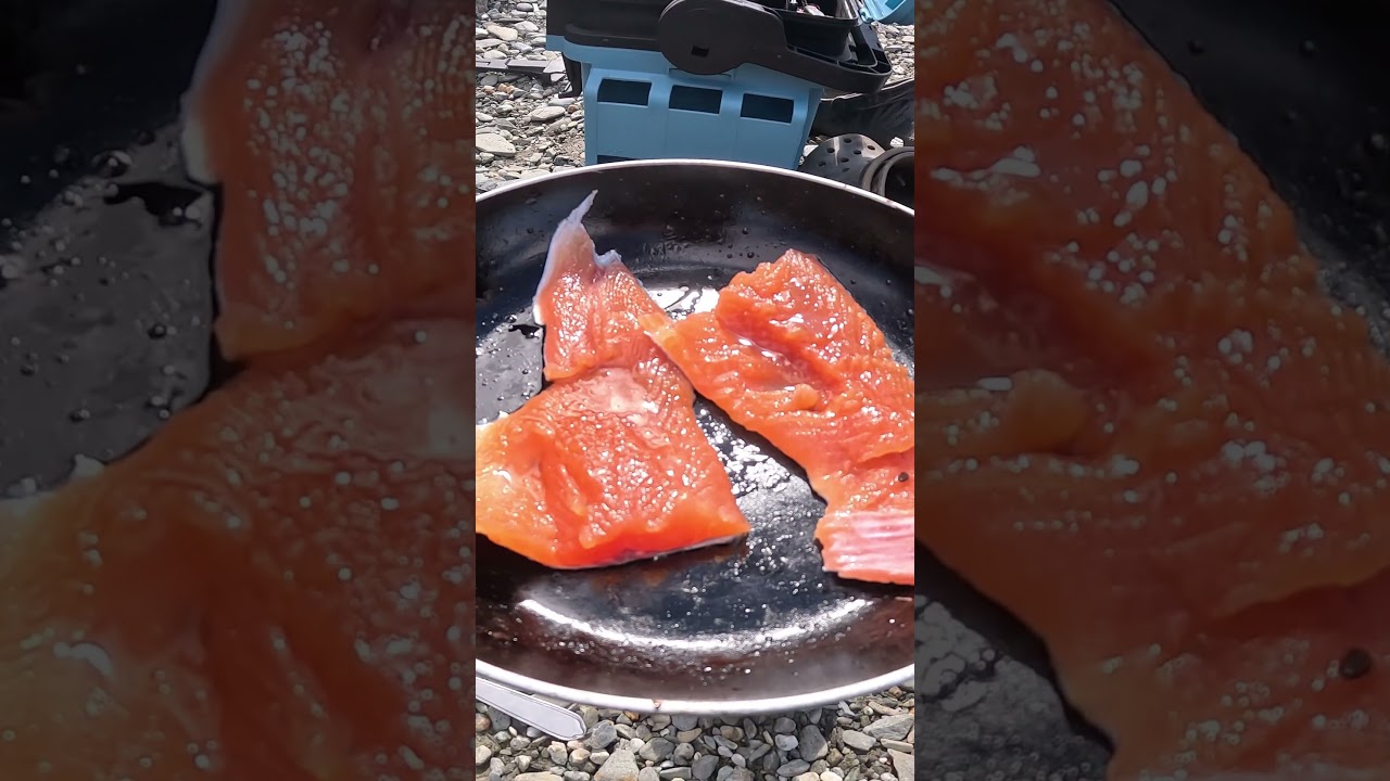 Rainbow trout catch and cook NZ 