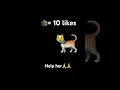 Pls like #cat #like #comment #sad