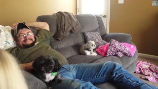 Funny dog versus 4 year old with balloon 🎈 by Backwoods Wayne 28 views 5 years ago 22 seconds