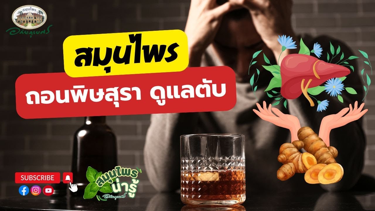 สมุนไพรถอนพิษสุรา ดูแลตับ l สมุนไพรน่ารู้ (2025)