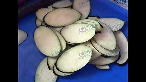 Eggplant Cutting Machine: 3 MM Slices