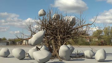 Procedural Dynamic Tree Setup using Tyflow (Tutorial coming out today)