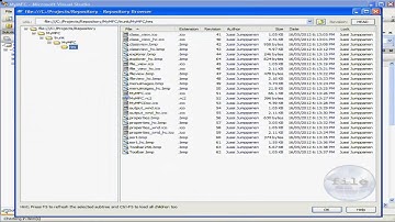 Agent SVN, Subversion and Visual Studio