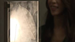 GLOLED Vuucu OLED lighting