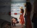 The Hippo Who Walked 1000 Miles Across South Africa and Became a National Celebrity