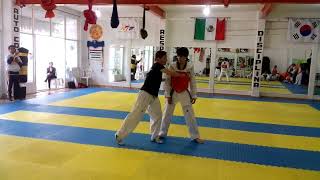 Damian villa, Técnicas de combate. ( Chonkwon taekwondo)