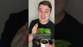 This is the future of NFTs. #technology #cryptocurrency #softwaredeveloper #nft