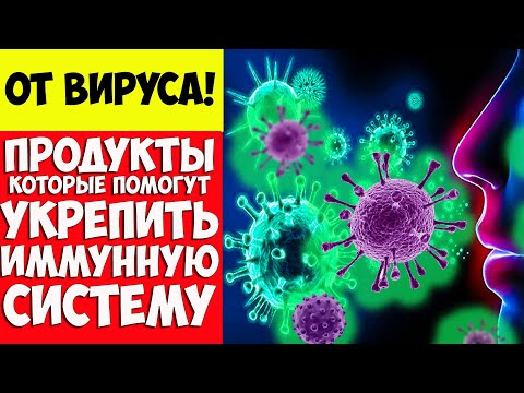 Как повысить иммунитет. Какие продукты помогут укрепить иммунную систему человека?