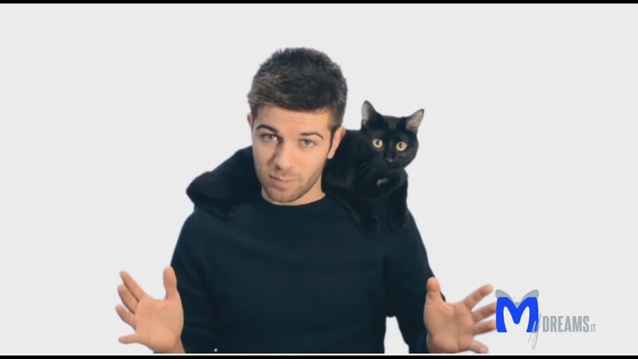 Il favoloso mondo dei gatti raccontato da Federico Santaiti