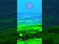 Calm Music with Beautiful Greenery View 🌿✨ | Meditation Relaxation #shortsvideos